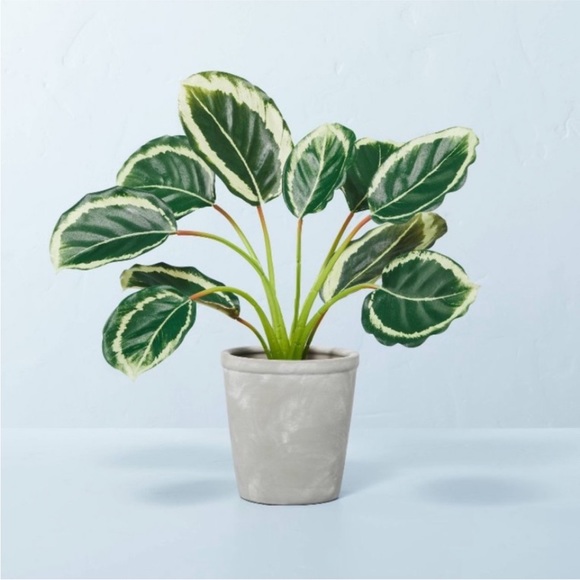 Hearth & Hand with Magnolia Faux Calathea Ceramic Potted Plant - Picture 1 of 6